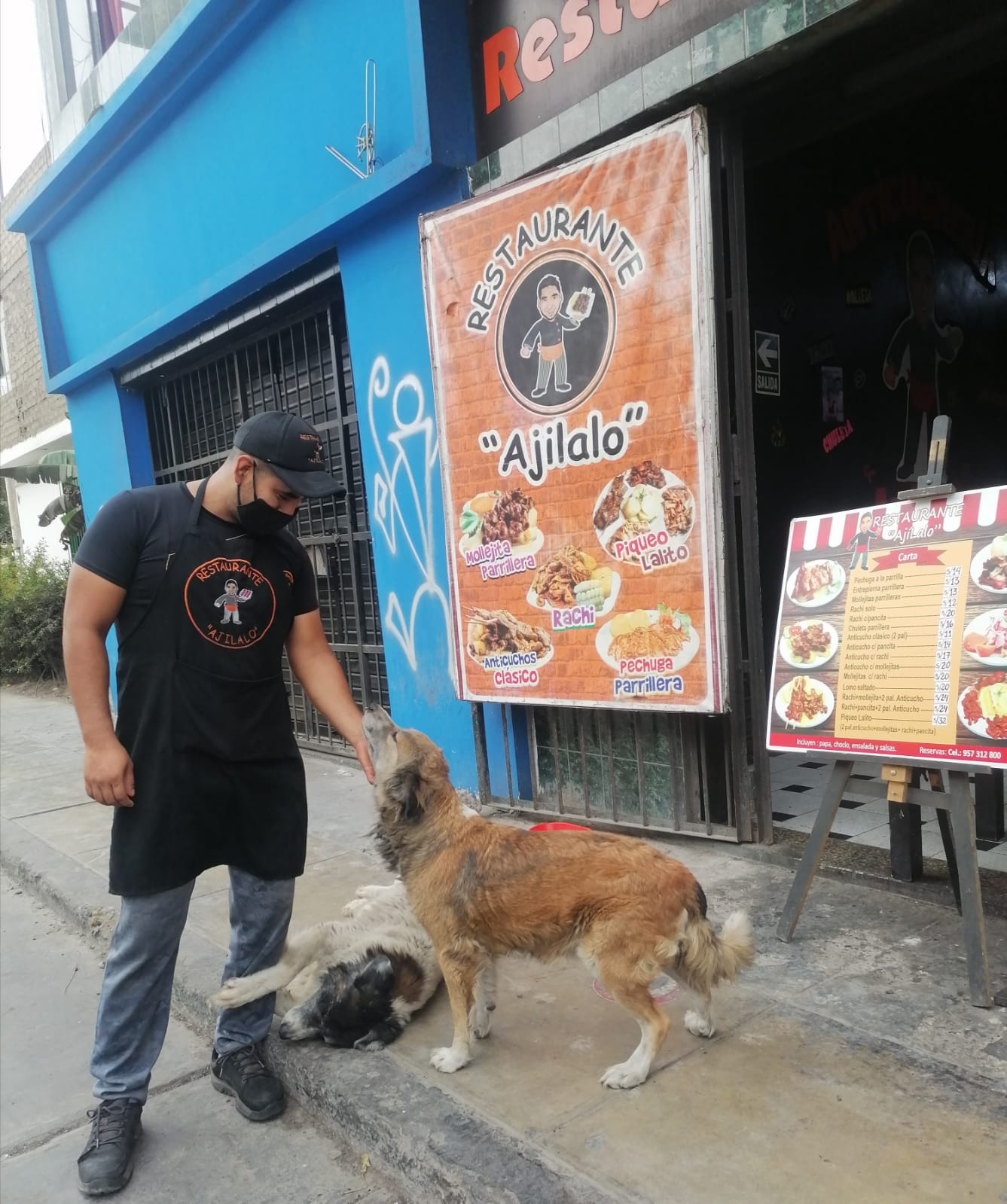 Illustration de l'article : Un restaurateur aide les chiens errants en leur préparant des repas gratuits